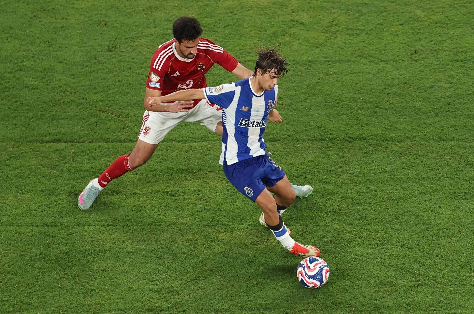 野著称, 观察为先的 野著称, 观察为先的