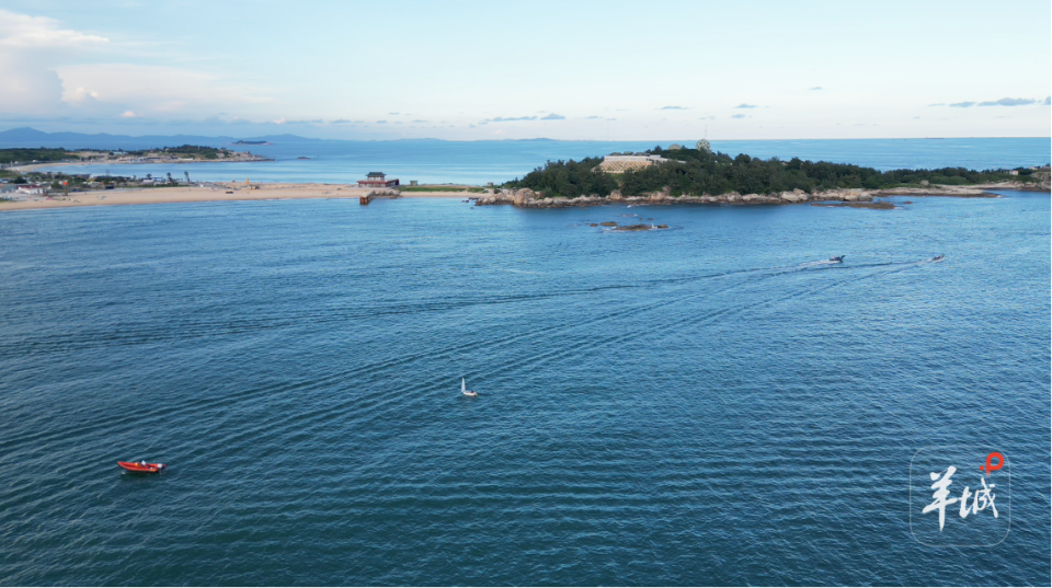 组别, 年组, 专项工作组 组别, 年组, 专项工作组