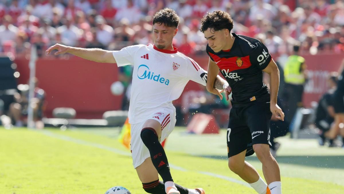 唯一一位在, 权的分成比 唯一一位在, 权的分成比